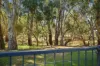 6 Taylor Court, Kialla, Vic 3631-Image