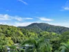 6 Terminalia Street, Redlynch, Qld 4870-Image