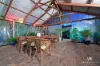 6 The Haven, Woodvale, WA 6026-Image