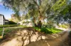 6  Thomas Lane, Castlemaine, Vic 3450-Image