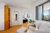 6 Timaru Place, Kirrawee, NSW 2232-Image