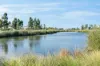 6 Trent Crescent, Charlemont, Vic 3217-Image