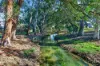 6 Trevithick Close, Stirling, WA 6021-Image