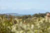 6 Trinity Place, Sun Valley, Qld 4680-Image