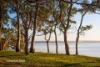 6 Ulana Avenue, Halekulani, NSW 2262-Image