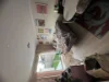 6 Vivid La, Mandogalup, WA 6167-Image