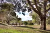 6 Vosti Lane, Guildford, Vic 3451-Image