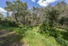 6 Waterside Pass, Byford, WA 6122-Image