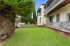 6 Webbs Avenue, Ashfield, NSW 2131-Image