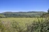 6 Wencks Road, Port Arthur, Tas 7182-Image