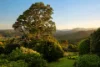 6 Westminster Boulevard, Elanora, Qld 4221-Image