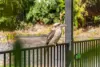 6 Whyatt Court, Beenleigh, Qld 4207-Image