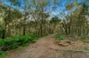 6 Wombat Court, Capalaba, Qld 4157-Image