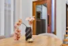 6 Yearling Street, Box Hill, NSW 2765-Image
