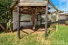 6 Young Street, Horsham, Vic 3400-Image