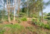 60-62 Shailer Road, Shailer Park, Qld 4128-Image