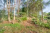 60-62 Shailer Road, Shailer Park, Qld 4128-Image