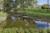 60-68 PINDARI ROAD, Cedar Grove, Qld 4285-Image