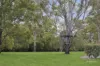 60-68 PINDARI ROAD, Cedar Grove, Qld 4285-Image