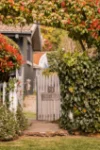 60 Backhouse Street, Wentworth Falls, NSW 2782-Image