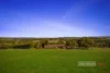 60 Braemore Place, Beveridge, Vic 3753-Image
