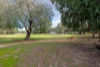 60 Chadstone Road, Craigie, WA 6025-Image