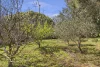 60 Chamberlain Drive, Leongatha, Vic 3953-Image