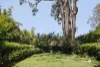 60 Collins Street, Nundah, Qld 4012-Image
