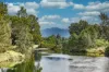 60 Crown Street, Bellingen, NSW 2454-Image