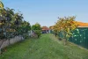 60 Dunmore Street South, Bexley, NSW 2207-Image
