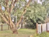 60 East Street, Clifton, Qld 4361-Image