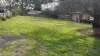 60 Elrington Street, Braidwood, NSW 2622-Image