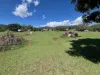 60 Goodson Road, Bouldercombe, Qld 4702-Image