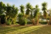 60 Honeyeater Crescent, Moggill, Qld 4070-Image