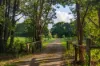 60 Ironstone Creek Road, Tuchekoi, Qld 4570-Image