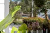 60 Lardelli Drive, Ryde, NSW 2112-Image