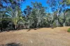 60 Lirema Court, Delan, Qld 4671-Image