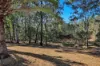 60 Lirema Court, Delan, Qld 4671-Image