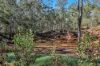 60 Lirema Court, Delan, Qld 4671-Image