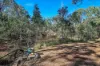60 Lirema Court, Delan, Qld 4671-Image