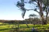 60 McMillan Road, Green Gully, Vic 3462-Image
