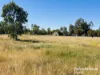 60 Mcphie Street, Roma, Qld 4455-Image
