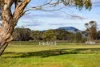 60 Nicholls Road, Ross Creek, Vic 3351-Image