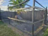 60 Ninth Avenue, Home Hill, Qld 4806-Image
