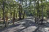 60 Page Road, Smythes Creek, Vic 3351-Image