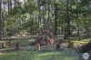 60 Page Road, Smythes Creek, Vic 3351-Image