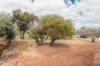 60 Panmure Road, York, WA 6302-Image