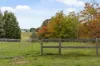 60 Parkview Drive, Lancefield, Vic 3435-Image