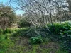 60 Riddoch Highway, Tarpeena, SA 5277-Image