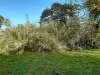 60 Riddoch Highway, Tarpeena, SA 5277-Image